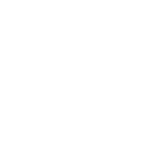 cargo-truck
